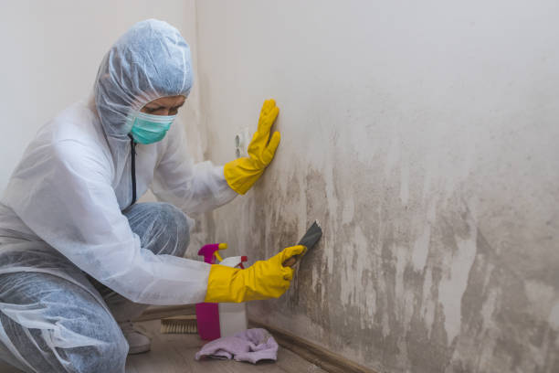 Mold Remediation for Rental Properties in Reidville, SC