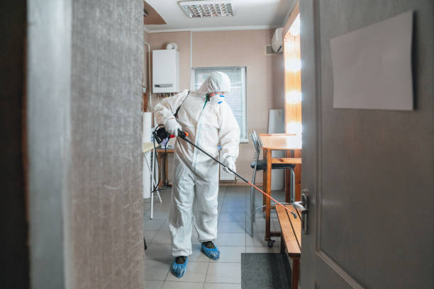 Best Comprehensive Air Testing for Mold Contaminants  in Reidville, SC